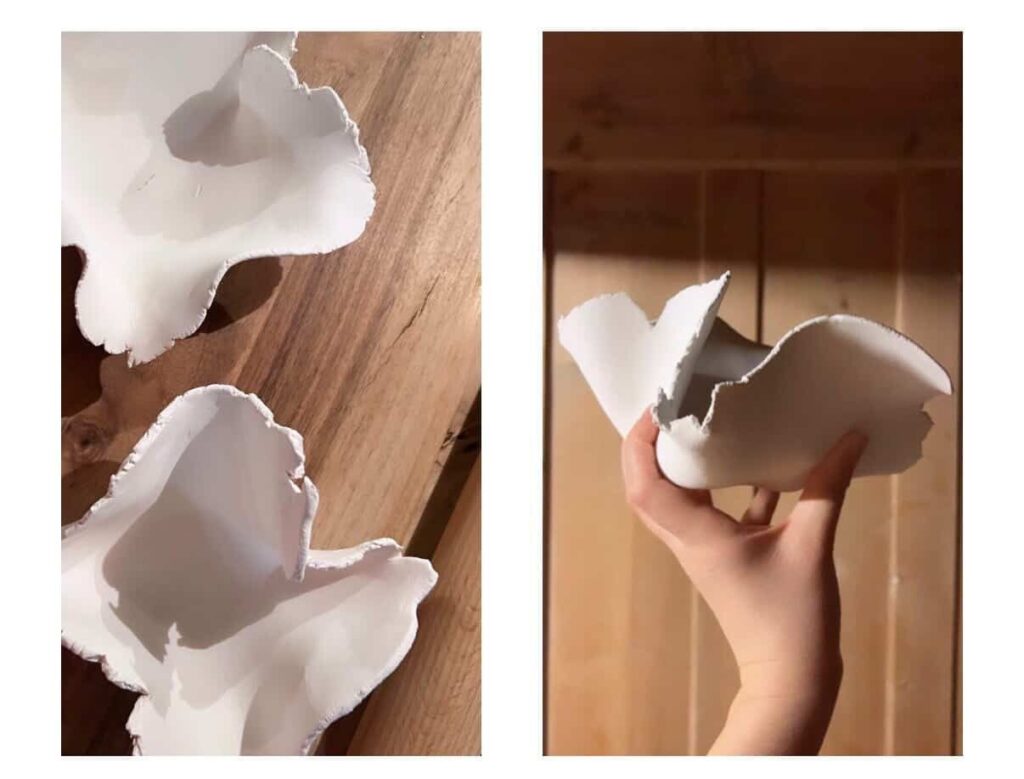 Where Nature Meets Edge: The Art of Design by Sarah Louisa Rohrer image